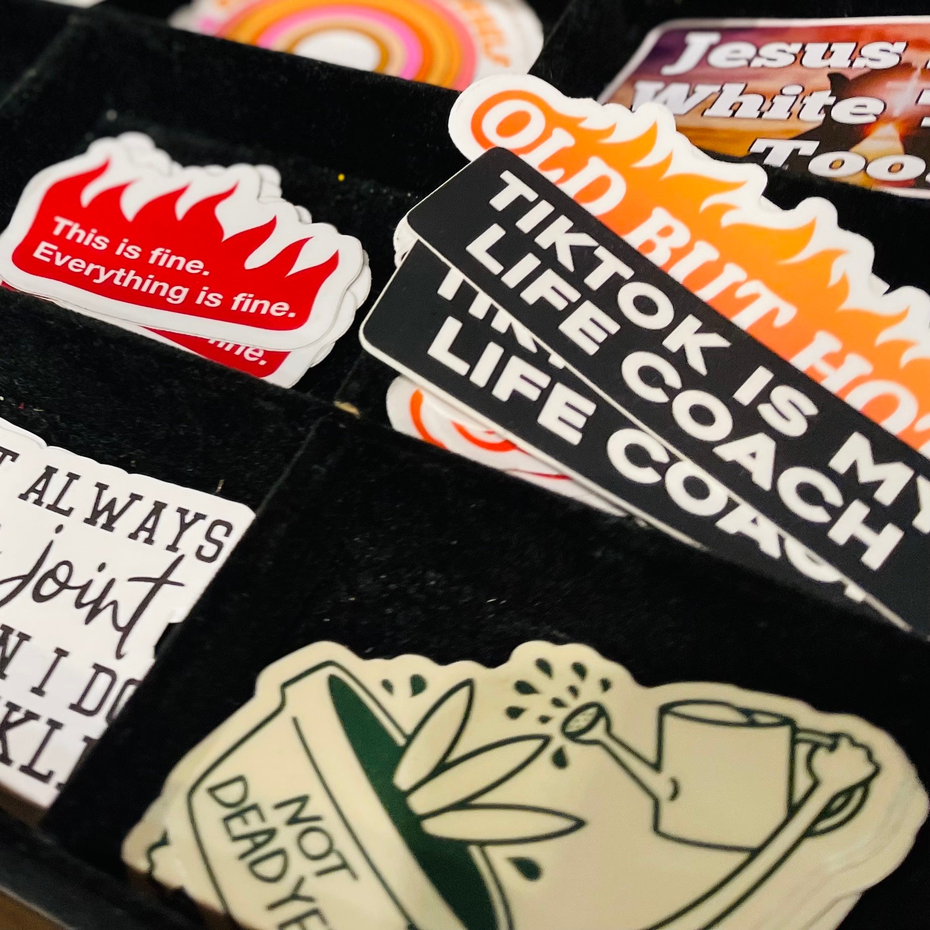 Stickers – Seasoned and Savvy